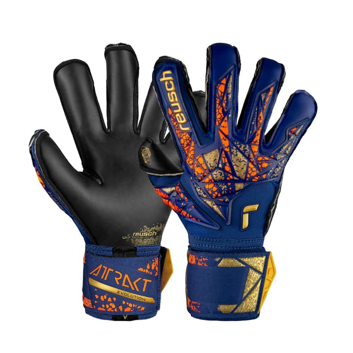 Reusch Attrakt Gold X Torwarthandschuhe blau von Reusch