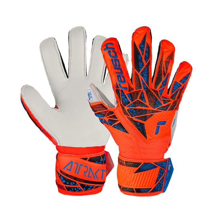 Reusch Attrakt Solid Finger Support Junior Torwarthandschuhe orange Reusch Attrakt Solid Finger Support Junior Torwarthandschuhe orange von Reusch