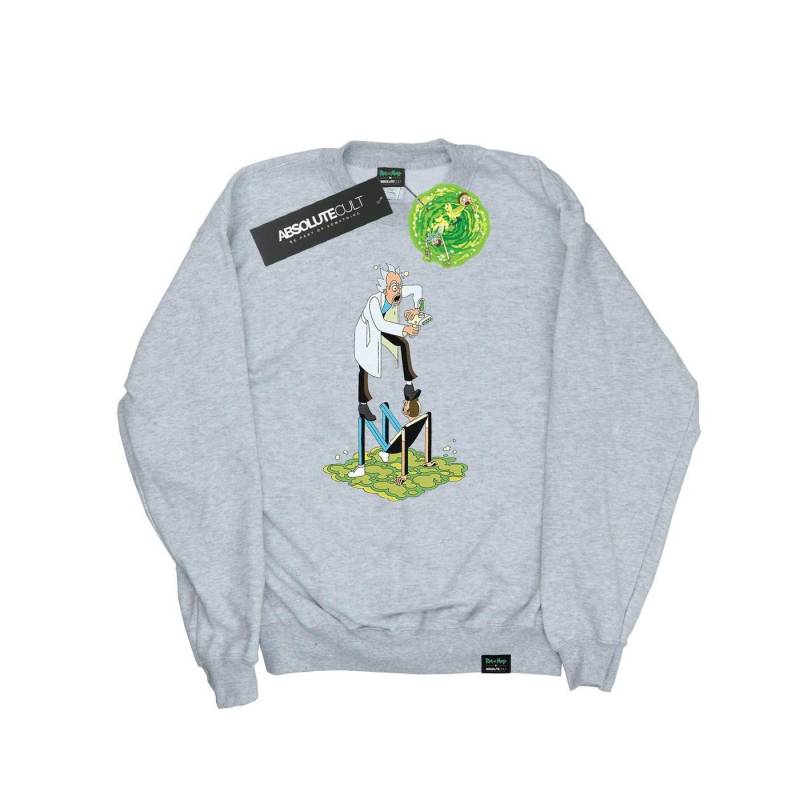 Stylised Characters Sweatshirt Damen Grau XL von Rick And Morty