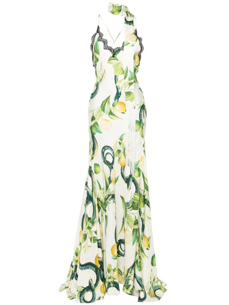 Roberto Cavalli Lemon-print silk maxi dress - Neutrals von Roberto Cavalli