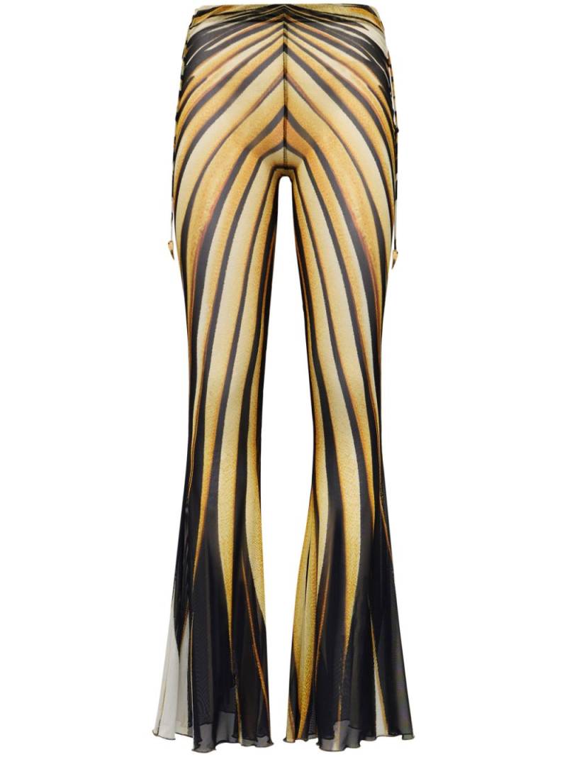 Roberto Cavalli Ray Of Gold flared trousers von Roberto Cavalli