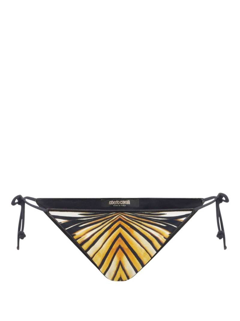 Roberto Cavalli Ray of Gold-print bikini bottoms von Roberto Cavalli