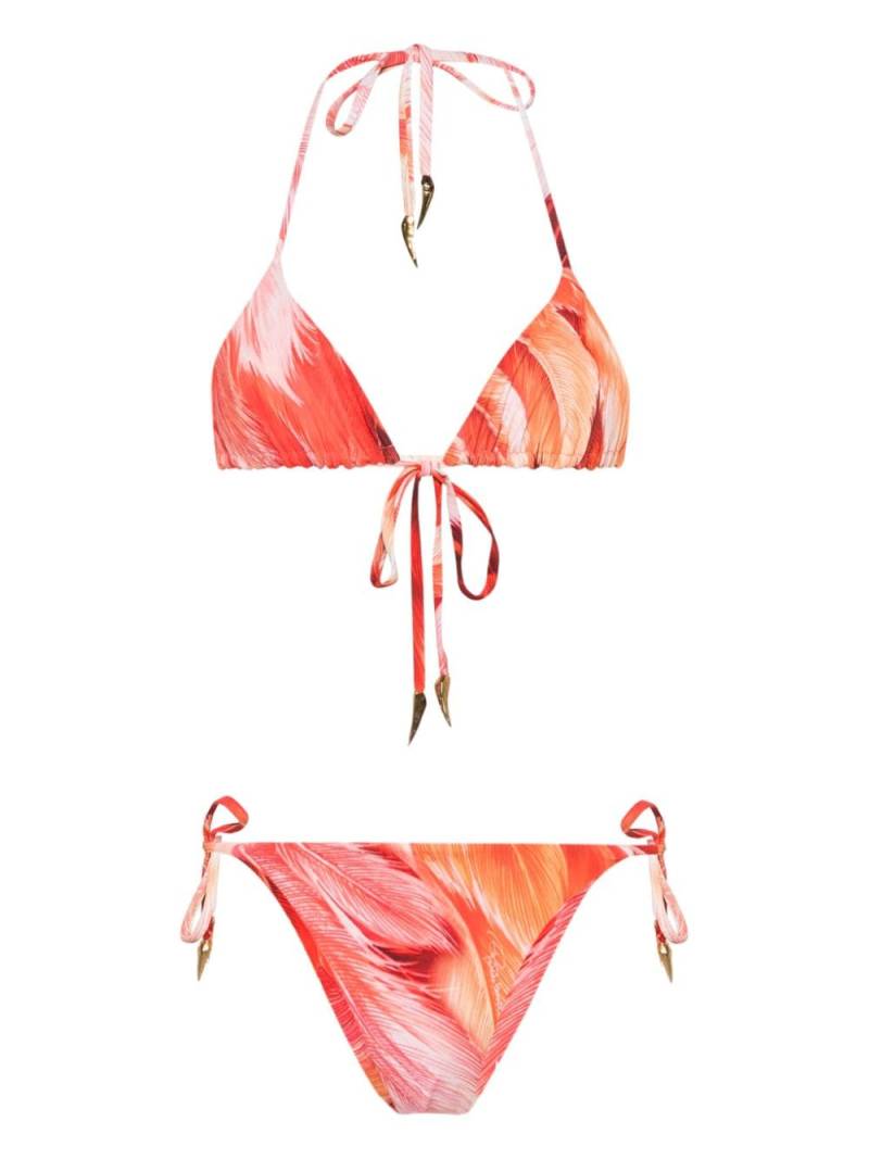 Roberto Cavalli Tiger Tooth-detailed feather-print bikini - Pink von Roberto Cavalli