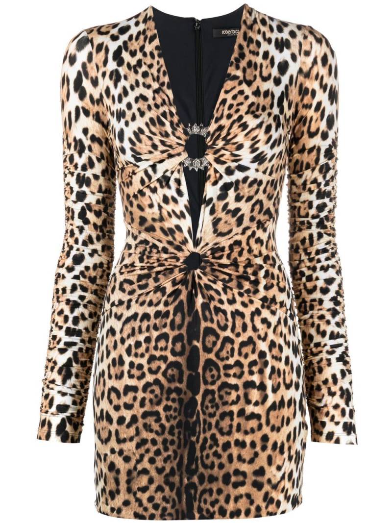 Roberto Cavalli leopard print V-neck minidress - Neutrals von Roberto Cavalli