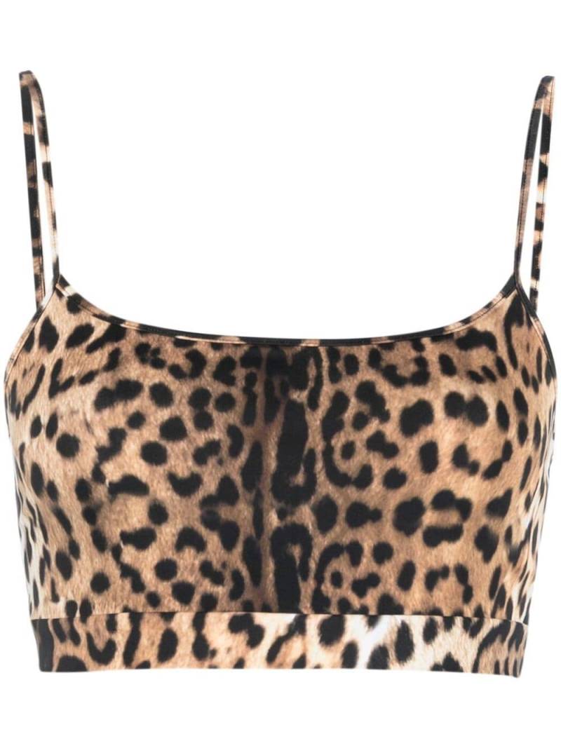 Roberto Cavalli leopard-print cropped top - Neutrals von Roberto Cavalli