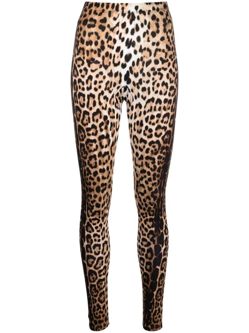 Roberto Cavalli leopard-print high-waisted leggings - Neutrals von Roberto Cavalli