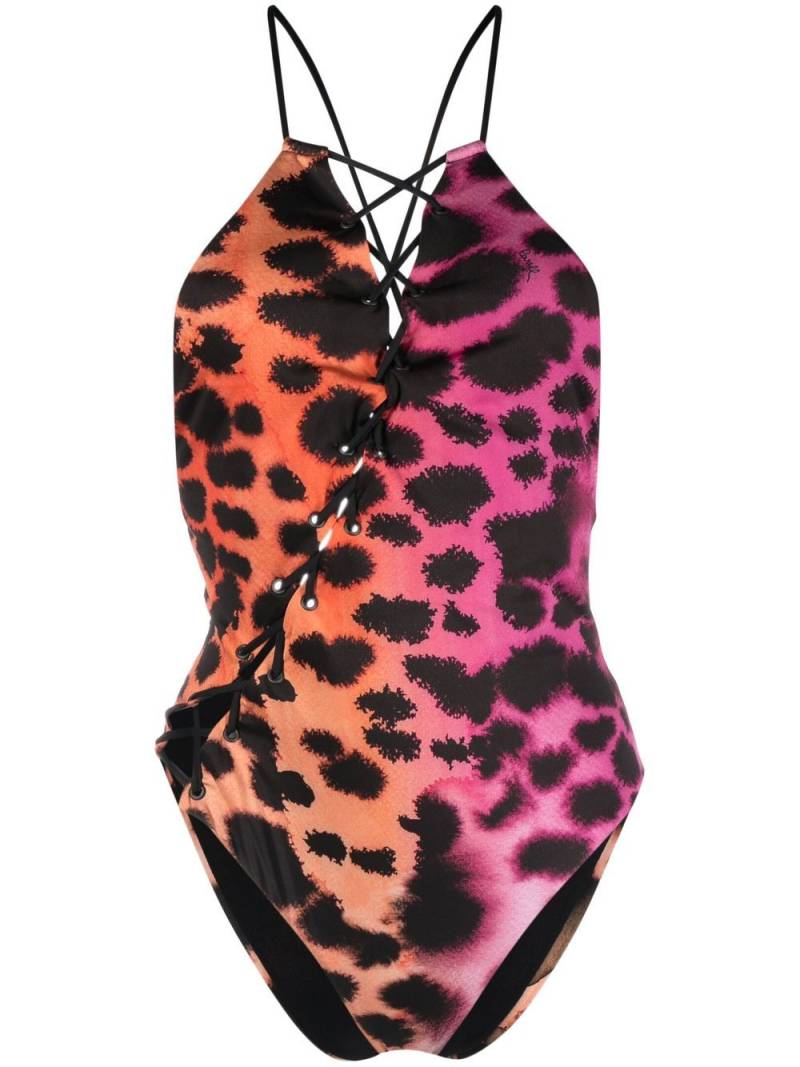 Roberto Cavalli leopard-print lace-up swimsuit - Pink von Roberto Cavalli