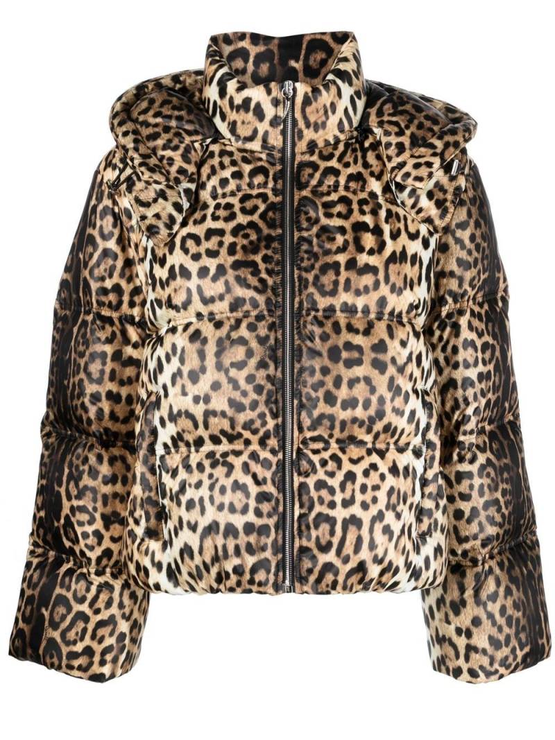 Roberto Cavalli leopard-print padded jacket - Neutrals von Roberto Cavalli