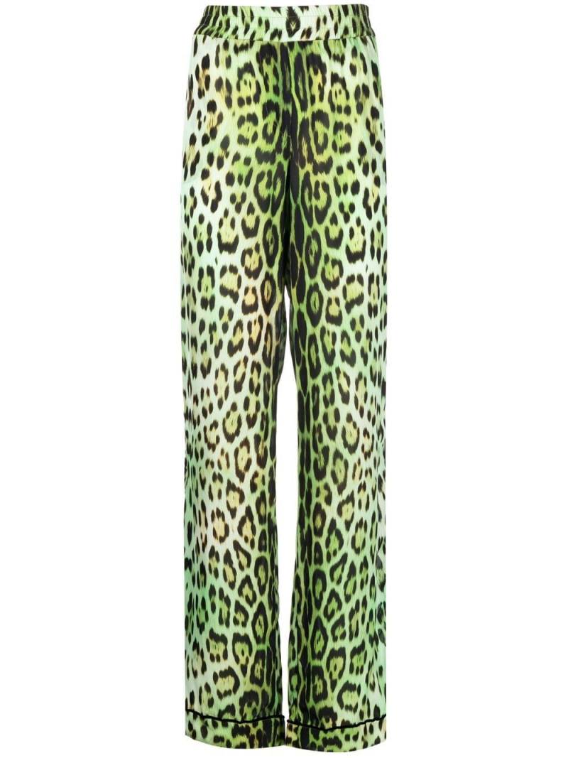 Roberto Cavalli leopard-print straight-leg trousers - Green von Roberto Cavalli