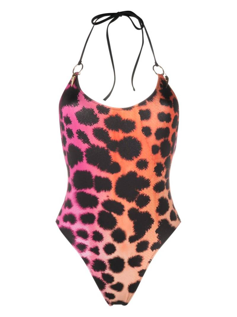 Roberto Cavalli leopard-print swimsuit - Pink von Roberto Cavalli