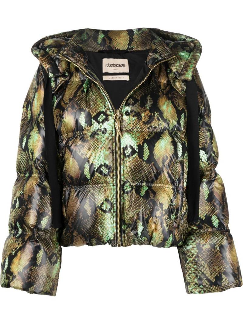 Roberto Cavalli snakeskin-print padded jacket - Green von Roberto Cavalli