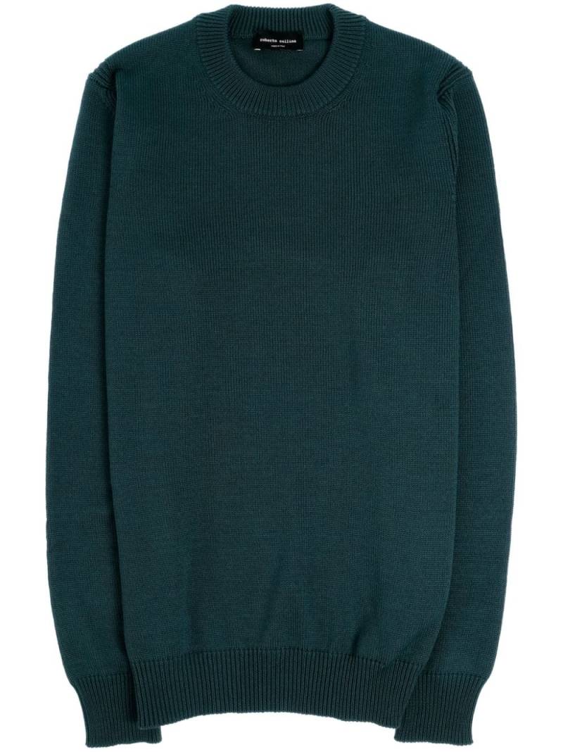 Roberto Collina crew-neck jumper - Green von Roberto Collina