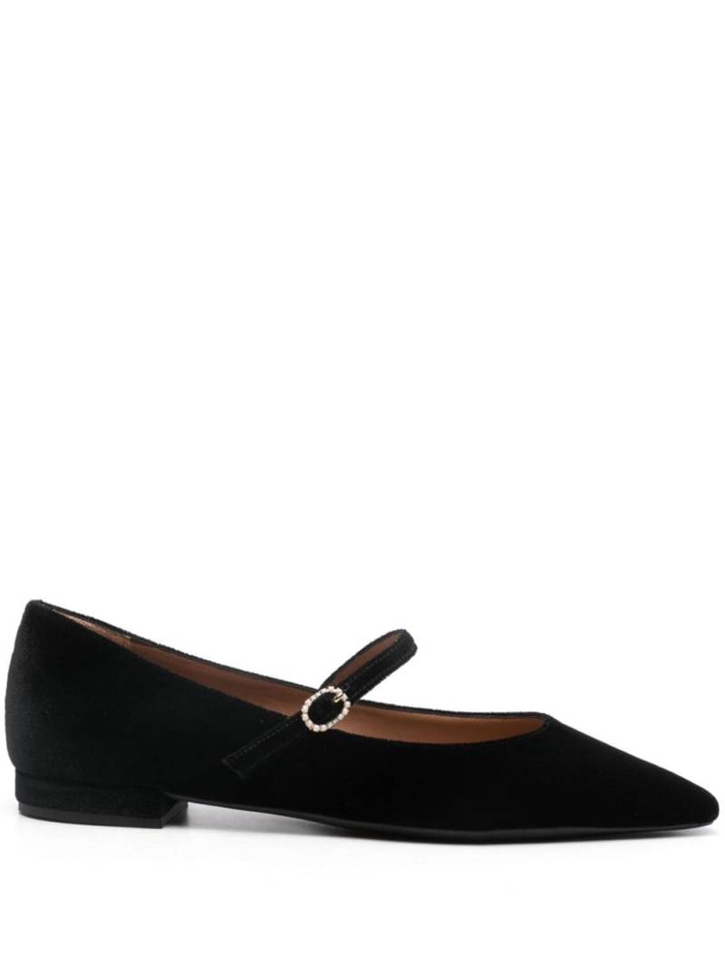 Roberto Festa Icaro ballerina shoes - Black von Roberto Festa