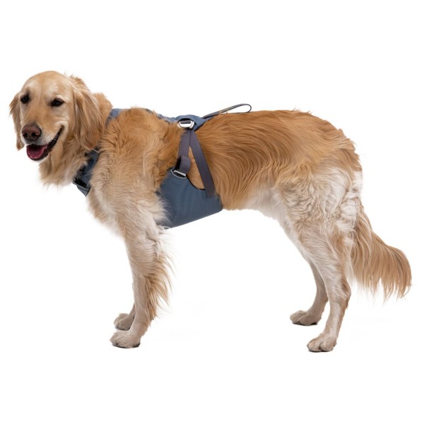 Ruffwear - Load Up Harness - Hundegeschirr Gr L/XL;S;XXS blau von Ruffwear