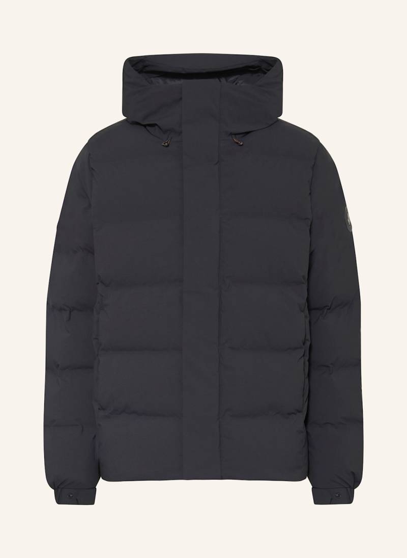 Save The Duck Steppjacke Leland schwarz von SAVE THE DUCK