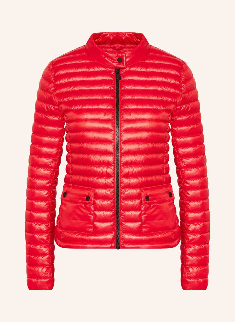 Save The Duck Steppjacke Twinkle rot von SAVE THE DUCK