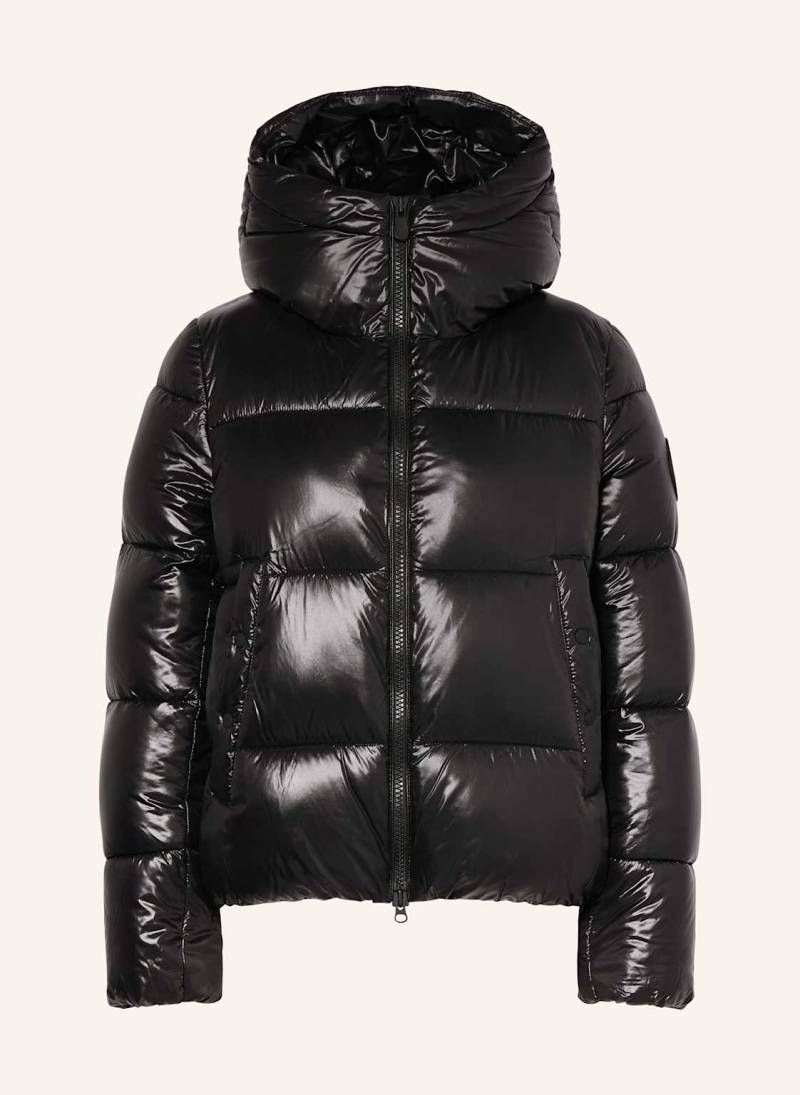 Save The Duck Steppjacke schwarz von SAVE THE DUCK