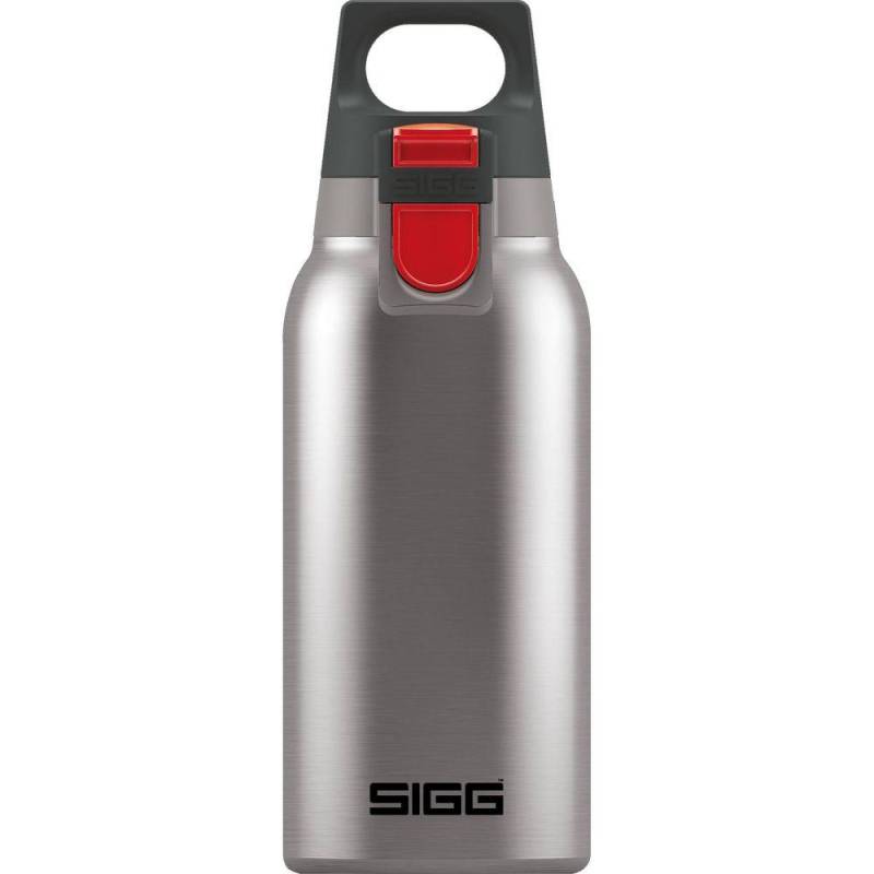 Switzerland Thermo Bottle One Brushed 21 Hot&cold 0.3liter 8581.70 Unisex  ONE SIZE von SIGG