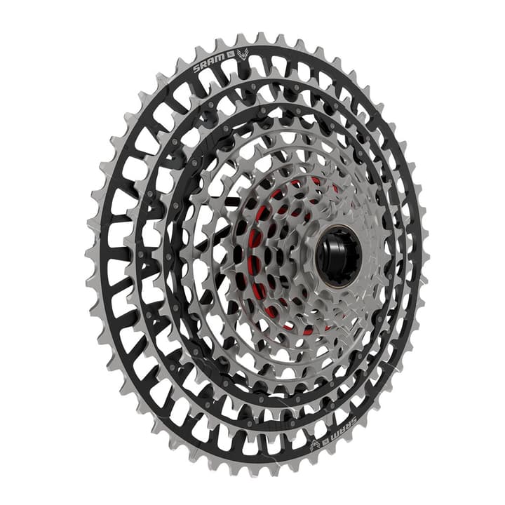 Sram Cassette Xs-1299 XX SL Eagle AXS Transmission 12sp Velokassette von SRAM