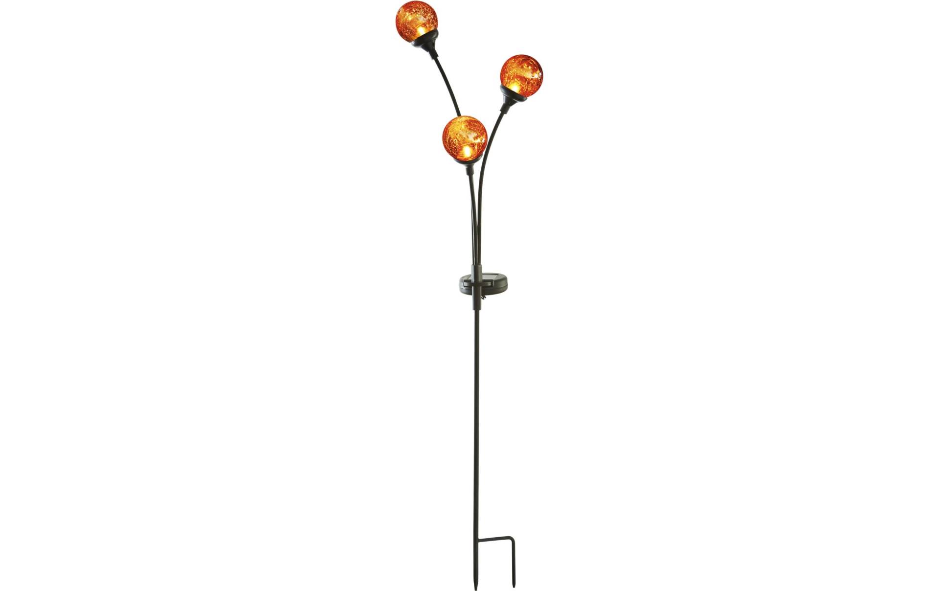 Parforce Traditional Hunting LED Gartenleuchte »Star Trading Solar Decoration Trieste« von Parforce Traditional Hunting