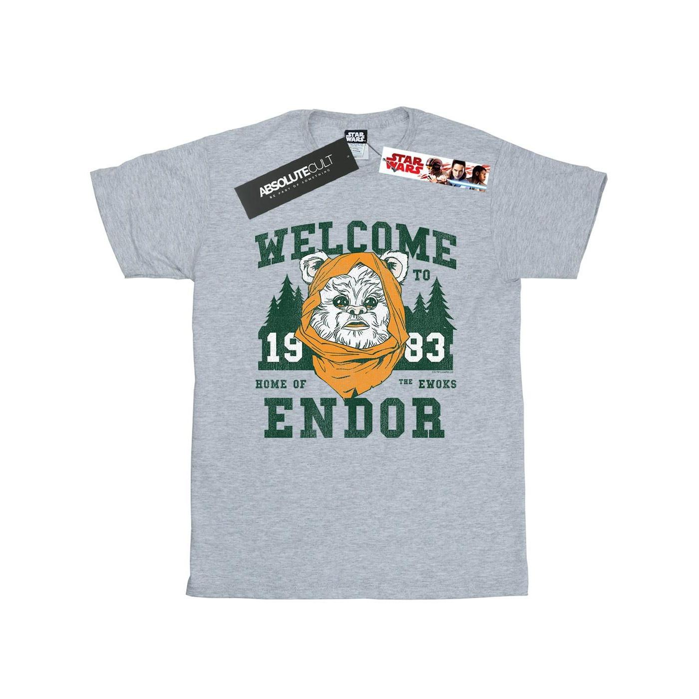 Endor Camp Tshirt Damen Grau M von STAR WARS