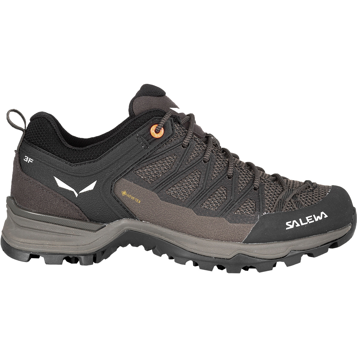 Salewa Damen MTN Trainer Lite GTX Schuhe von Salewa