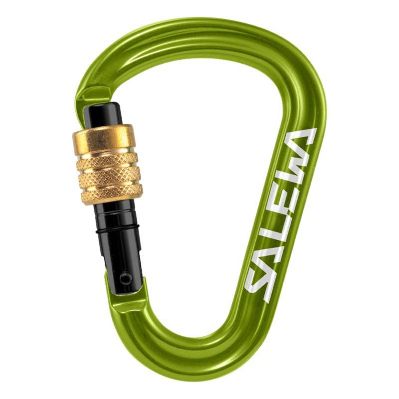 Salewa HMS Pro Karabiner von Salewa