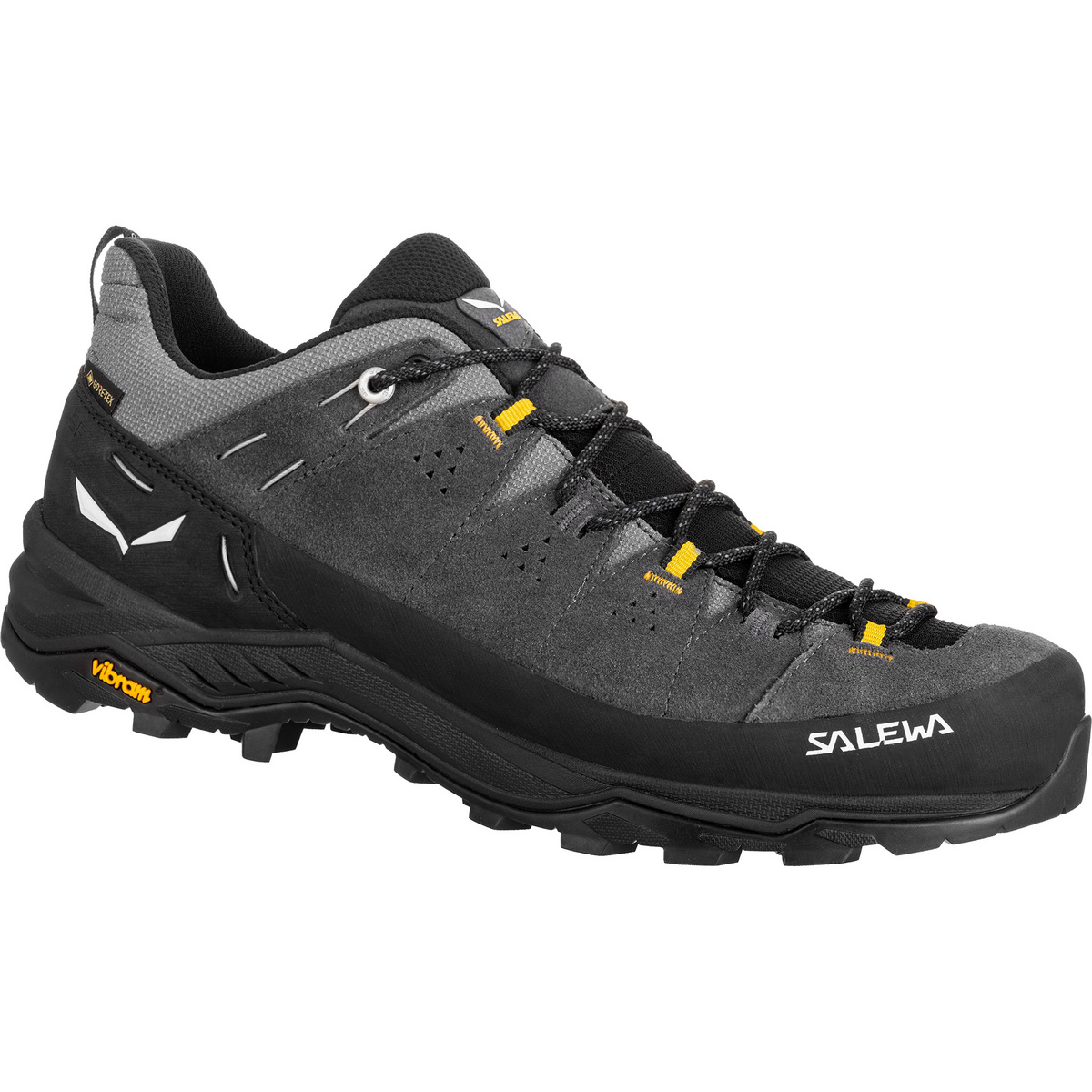 Salewa Herren Alp Trainer 2 GTX Schuhe von Salewa