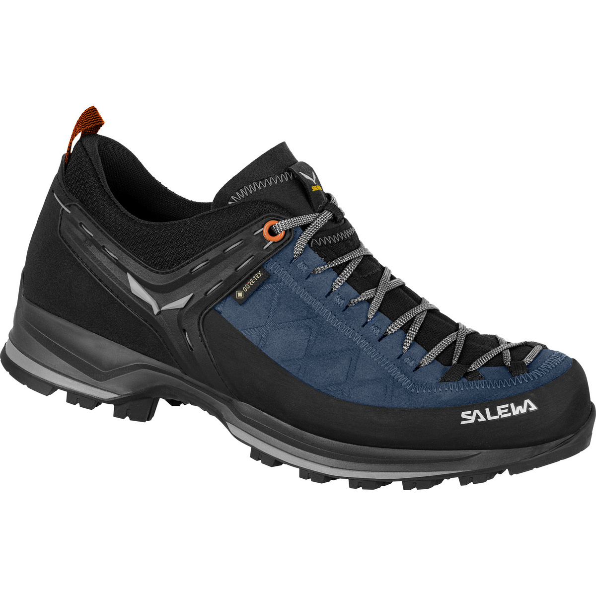 Salewa Herren MTN Trainer 2 GTX Schuhe von Salewa