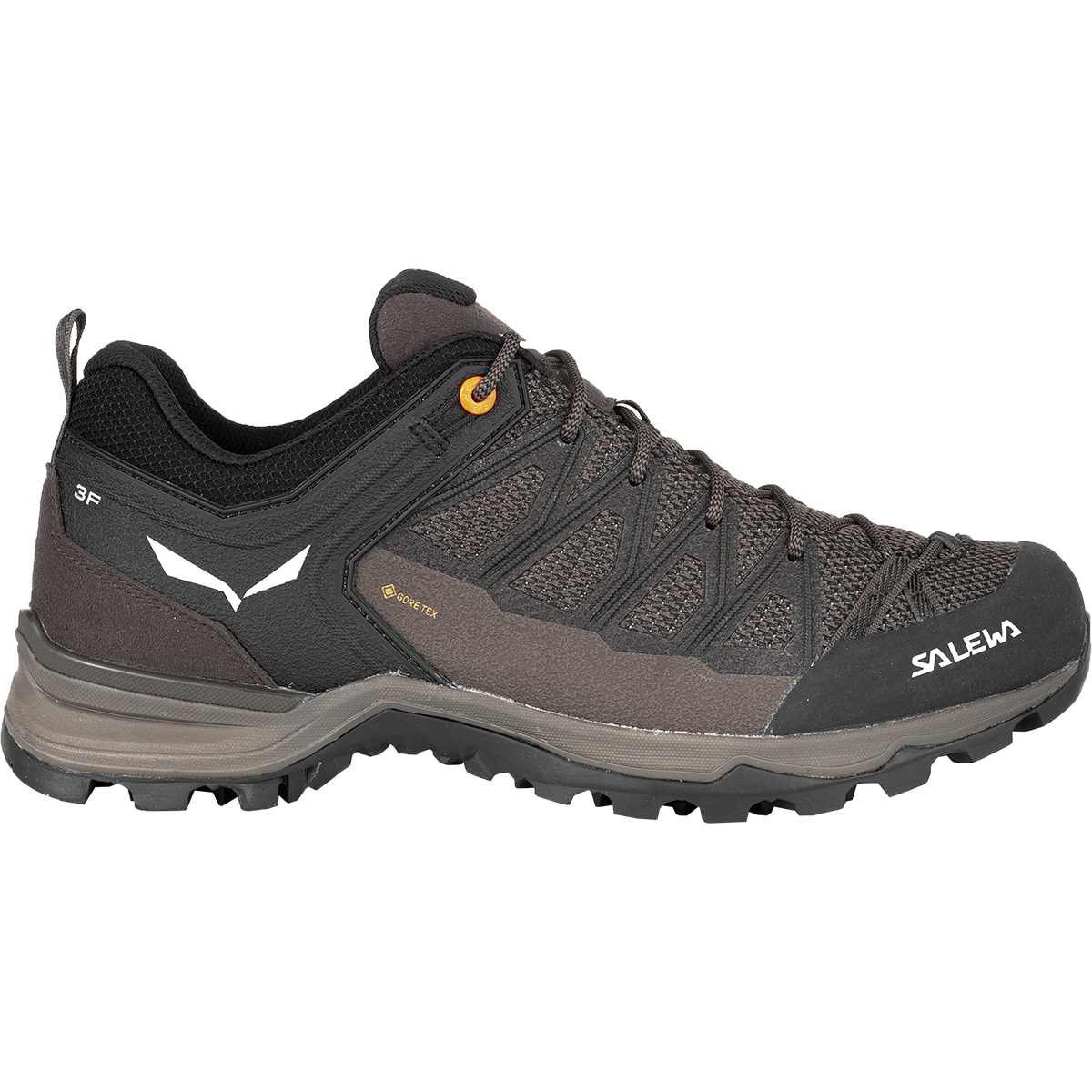 Salewa Herren MTN Trainer Lite GTX Schuhe von Salewa