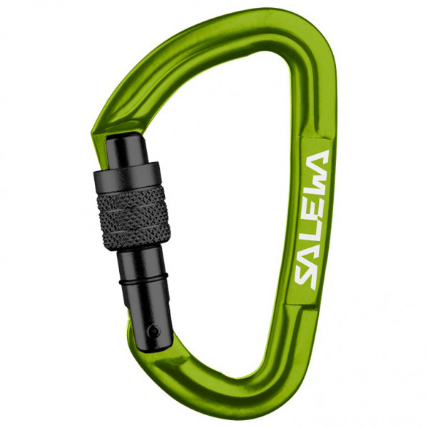 Salewa - Hot G3 Screw Carabiner - Schraubkarabiner Gr One Size oliv von Salewa