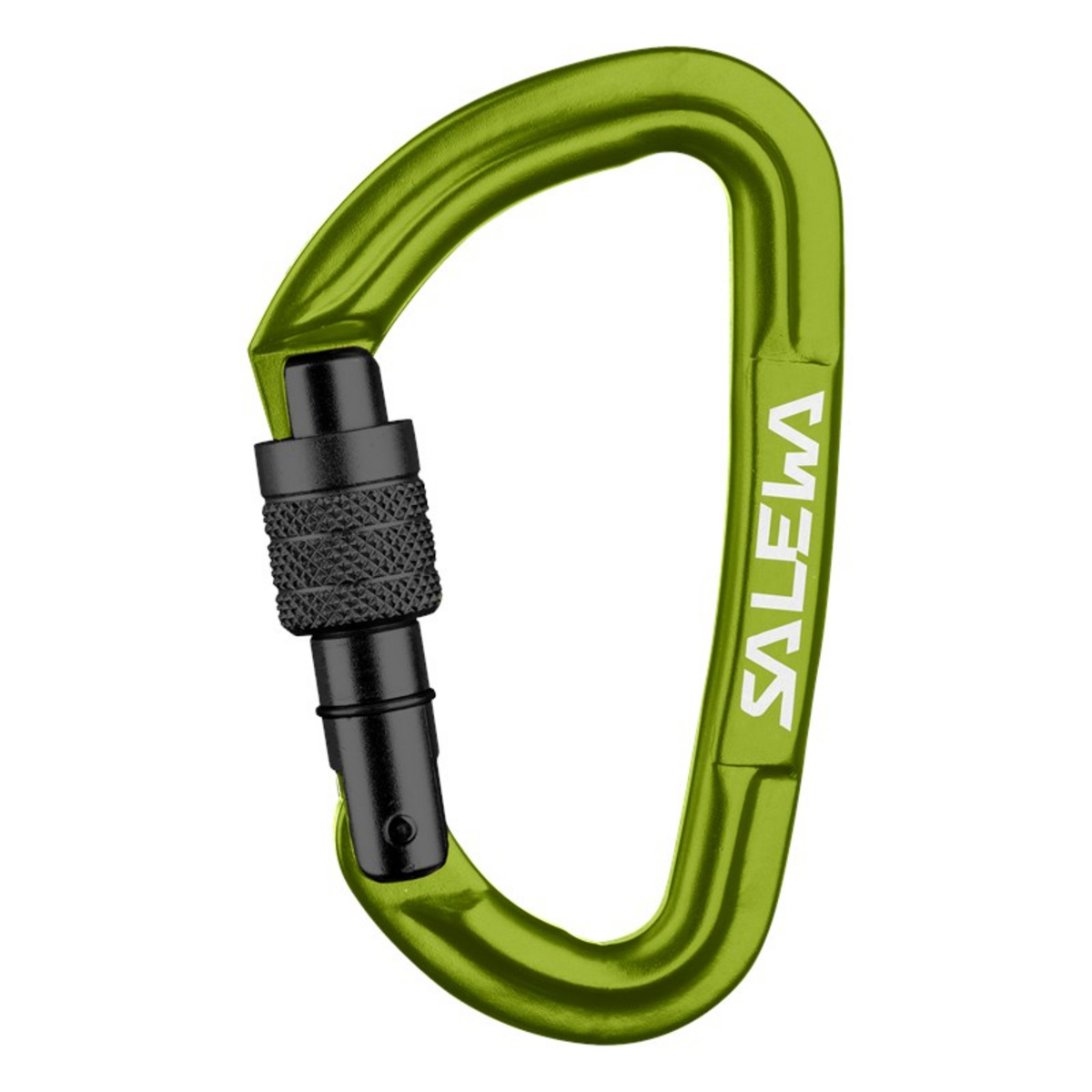 Salewa Hot G3 Screw Karabiner von Salewa