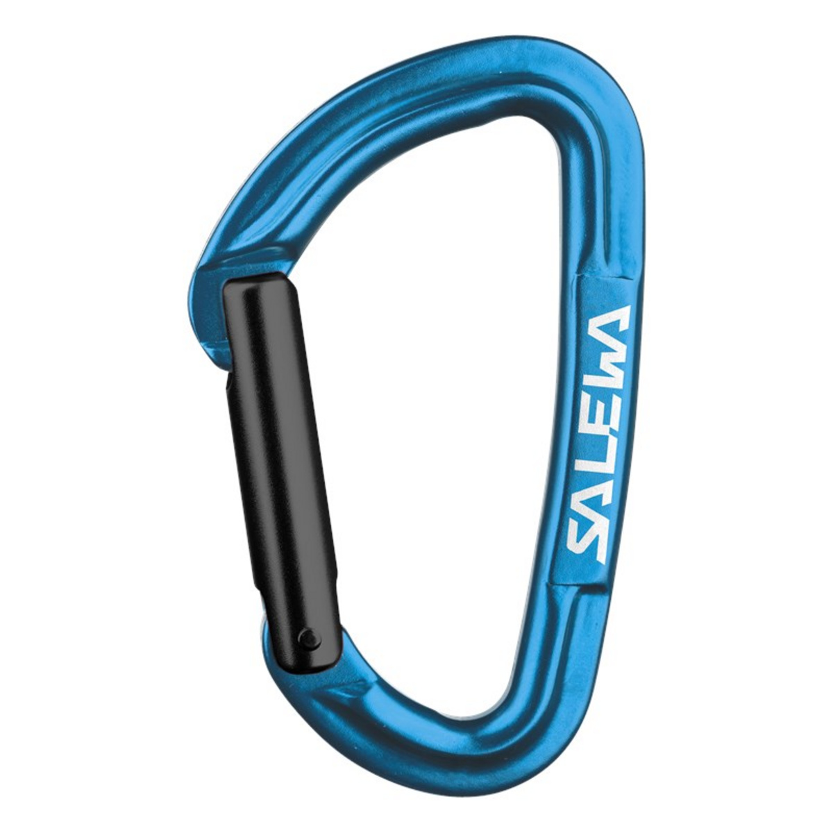 Salewa Hot G3 Straight Karabiner von Salewa