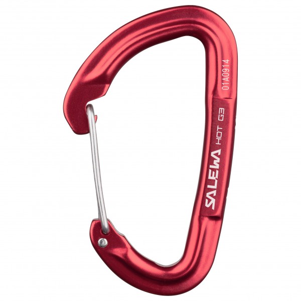 Salewa - Hot G3 Wire Carabiner - Schnappkarabiner Gr One Size oliv von Salewa