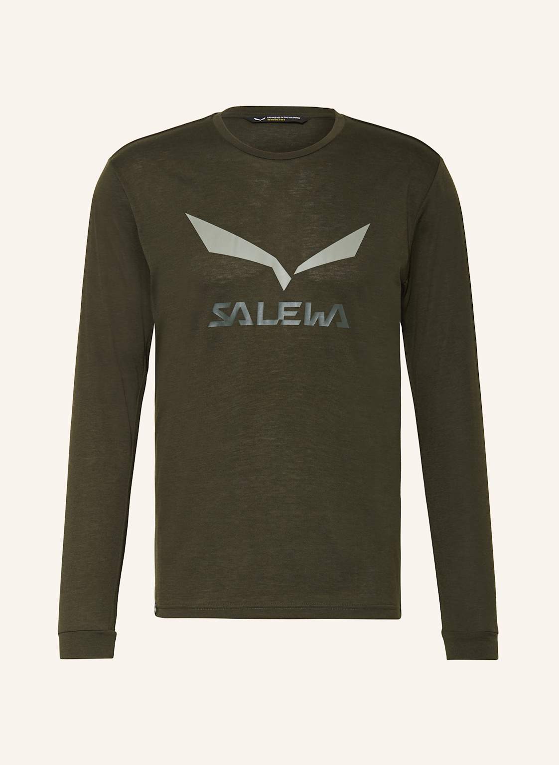 Salewa Longsleeve Solidlogo Dry’Ton gruen von Salewa