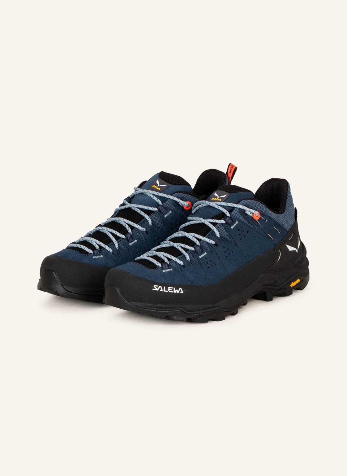 Salewa Wanderschuhe Alp Trainer 2 Gtx blau von Salewa