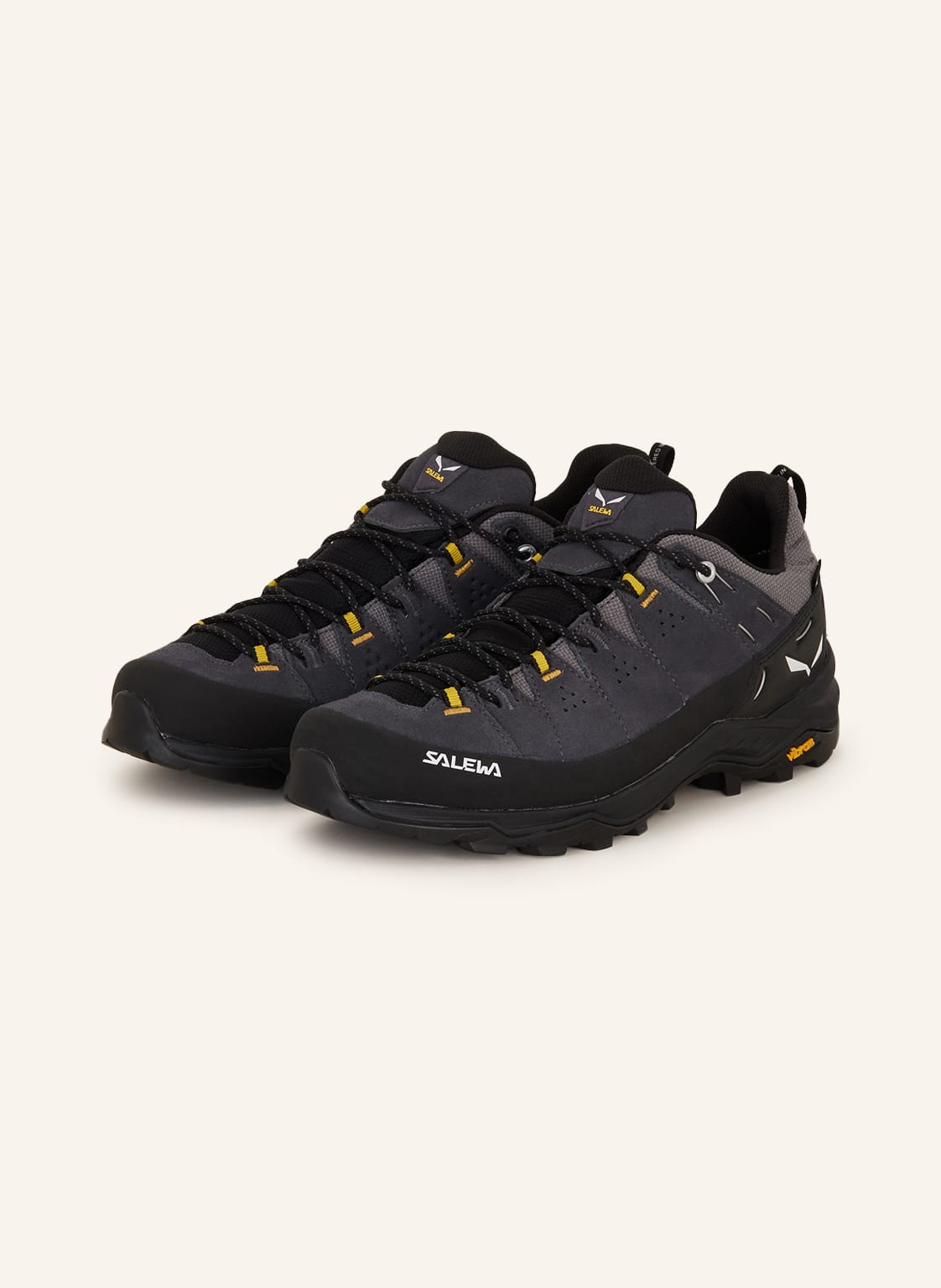 Salewa Multifunktionsschuhe Alp Trainer 2 Gtx grau von Salewa