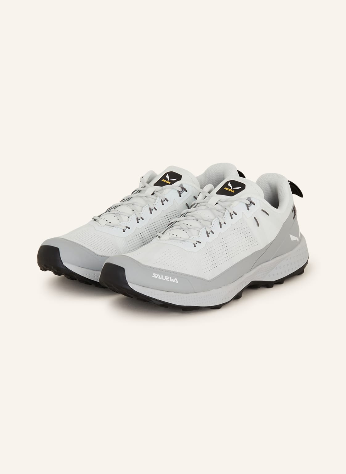 Salewa Multifunktionsschuhe Pedroc Air grau Salewa Multifunktionsschuhe Pedroc Air grau von Salewa
