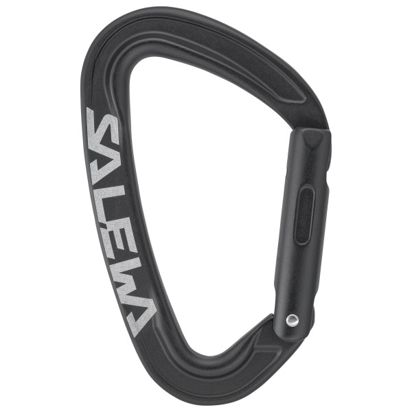 Salewa - Ortles Straight Carabiner - Schnappkarabiner grau von Salewa