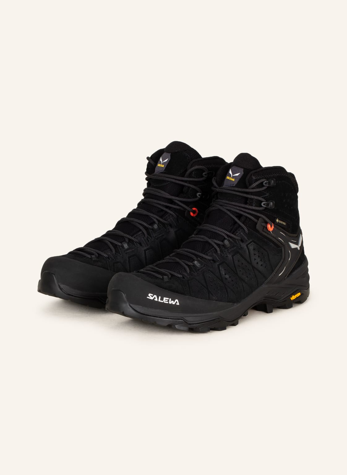 Salewa Trekkingschuhe Alp Trainer 2 Mid Gtx schwarz von Salewa