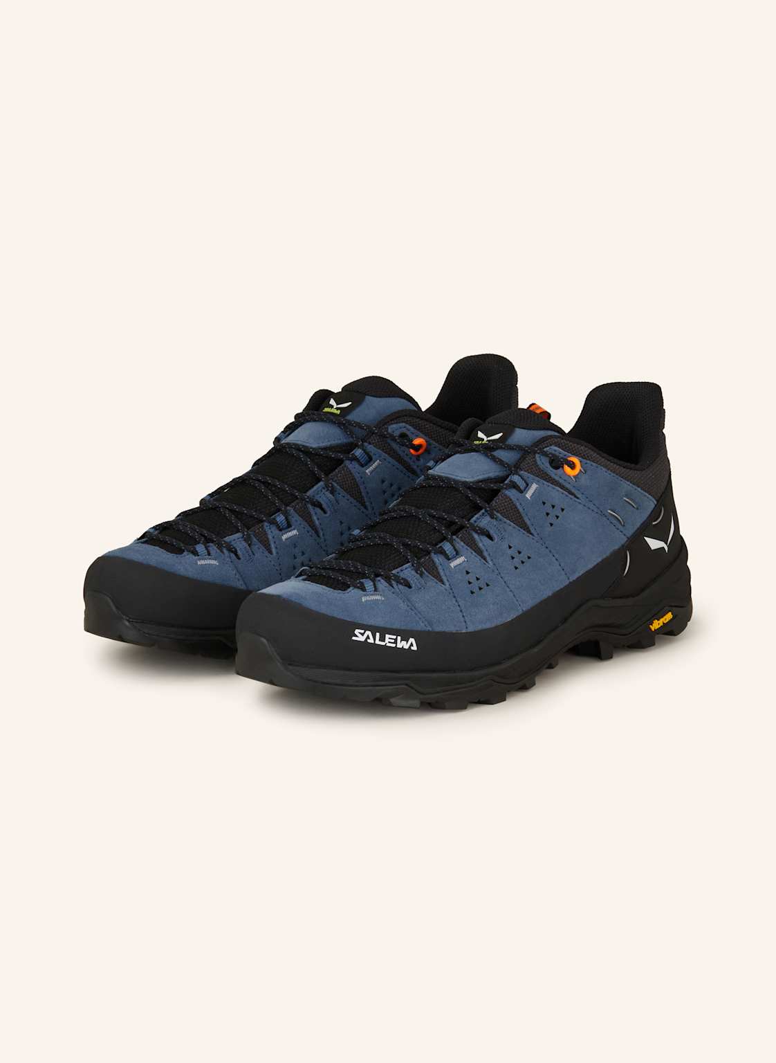 Salewa Wanderschuhe Alp Trainer 2 blau von Salewa