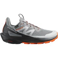 SALOMON Herren Speedhikingschuhe Elixir Activ GTX grau | 43 1/3 SALOMON Herren Speedhikingschuhe Elixir Activ GTX grau | 43 1/3 von Salomon