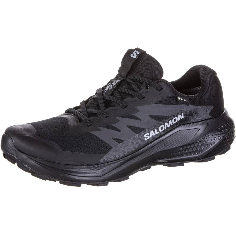 Salomon ALPHAGLIDE GTX Laufschuhe Herren von Salomon