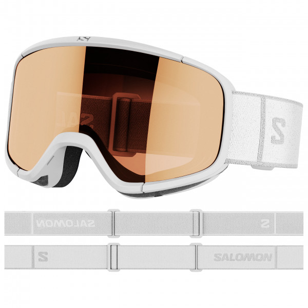 Salomon - Aksium 2.0 Access Flash S2 (VLT 22%) - Skibrille grau von Salomon