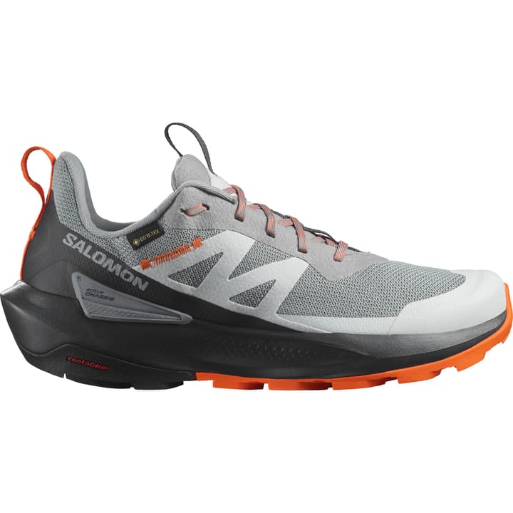 Salomon Elixir Activ GTX Multifunktionsschuhe grau Salomon Elixir Activ GTX Multifunktionsschuhe grau von Salomon