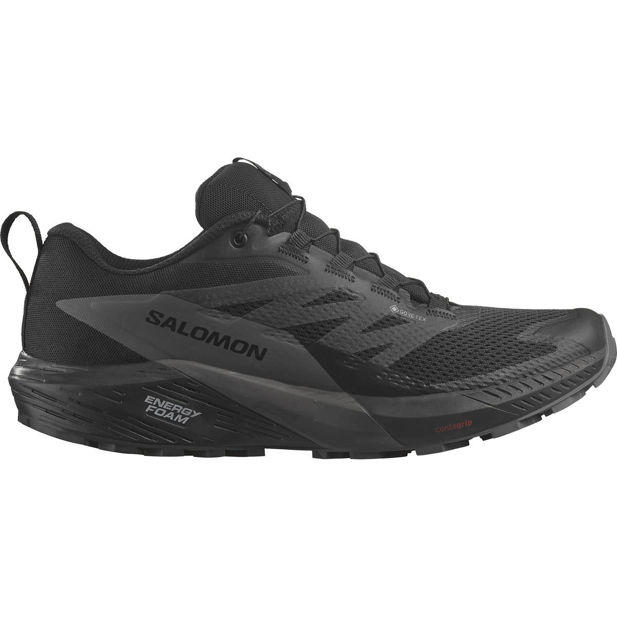 Salomon Herren Sense Ride 5 GTX Schuhe von Salomon