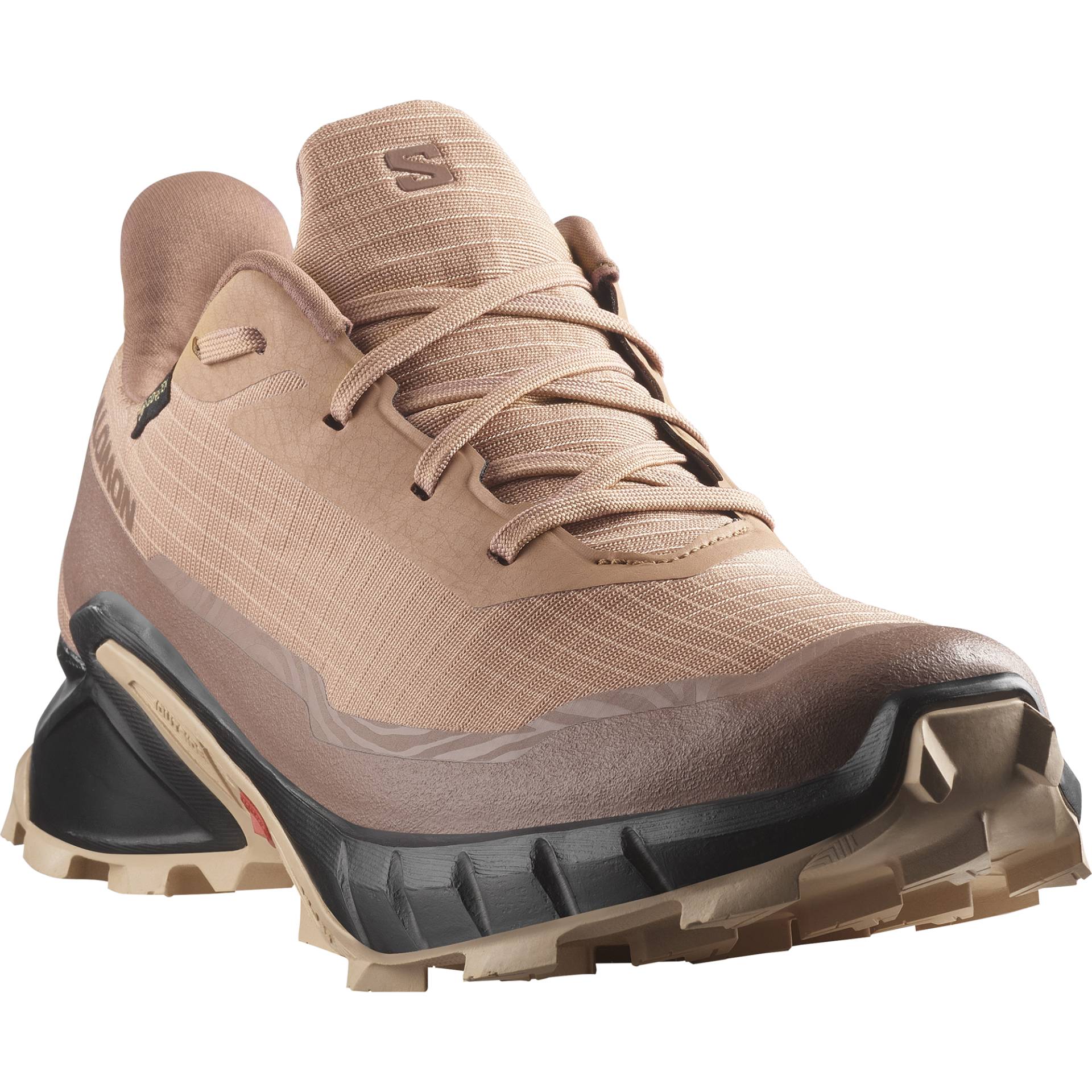 Salomon Laufschuh »ALPHACROSS 5 GORE-TEX«, wasserdicht von Salomon