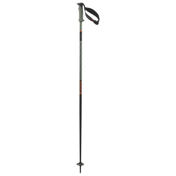 Salomon - Polar Pro S3 - Skistöcke Gr 135 cm grün von Salomon