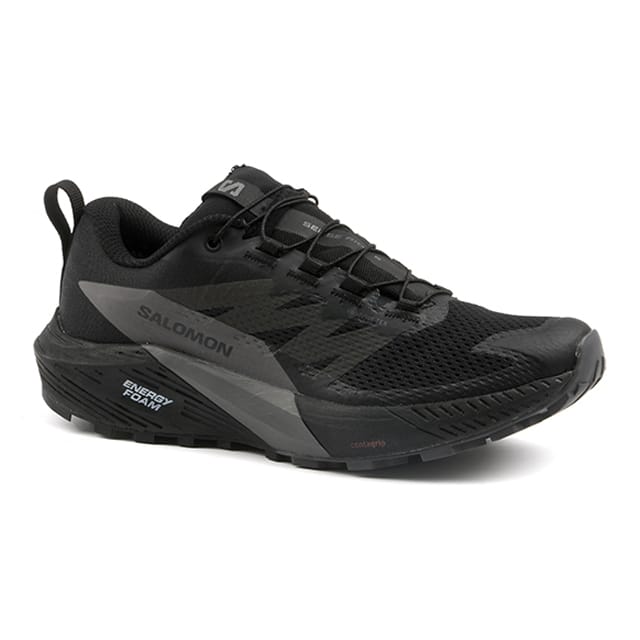 Salomon Sense Ride 5 GTX-4.5 37.5 von Salomon