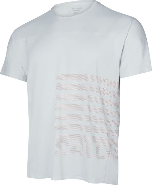 Salomon Senso Aero GFK T-Shirt hellgrau Salomon Senso Aero GFK T-Shirt hellgrau von Salomon